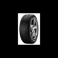Foto pneumatico: APOLLO, ALNAC 4G WINTER 205/55 R16 91H Invernali