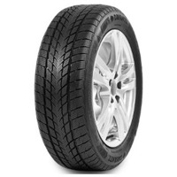 Foto pneumatico: DAVANTI, WINTOURA 215/60 R17 96H Invernali