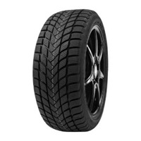 Foto pneumatico: DELINTE, WD1 155/65 R14 75T Invernali