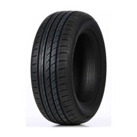 Foto pneumatico: Double Coin, DC99 225/50 R17 98W Estive