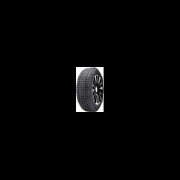 Foto pneumatico: Double Star, WINTERKING DW02 245/55 R19 103T Invernali
