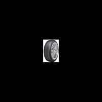 Foto pneumatico: Double Star, WINTERKING DW09 275/40 R20 106V Invernali
