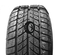 Foto pneumatico: DOUBLESTAR, DW09 WINTERKING 235/55 R17 99T Invernali