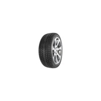 Foto pneumatico: FORTUNA, Gowin UHP 2 235/35 R19 91V Invernali