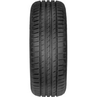 Foto pneumatico: FORTUNA, GOWIN VAN 195/75 R16 107R Invernali