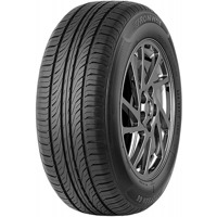 Foto pneumatico: FRONWAY, ECOGREEN 66 205/55 R16 91V Estive