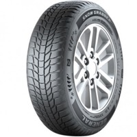 Foto pneumatico: GENERAL, SNOW GRABBER PLUS 225/65 R17 106H Invernali
