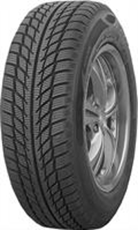 Foto pneumatico: GOODRIDE, SW608 195/65 R15 91H Invernali