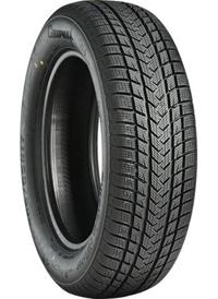 Foto pneumatico: GRIPMAX, SUREGRIP EWINTER 235/60 R20 108H Invernali