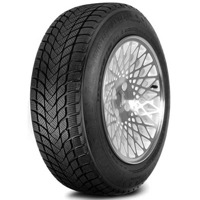 Foto pneumatico: LANDSAIL, Winter Lander 195/60 R15 88H Invernali