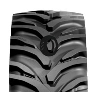 Foto pneumatico: NOKIAN, TRACTOR KING (R-1W) 600/70 R30 165D Quattro-stagioni