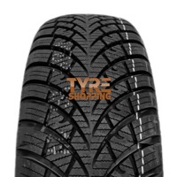 Foto pneumatico: PAXARO, SNOWHILL 3 185/65 R15 92T Estive