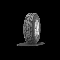 Foto pneumatico: ROADSTONE, WINGUARD SUV 205/70 R15 96T Invernali
