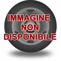 Foto pneumatico: BF Goodrich, ADVANTAGE ALL-SEASON 205/40 R17 84W Quattro-stagioni