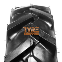 Foto pneumatico: STARMAXX, TR55 80/ R13 94A6 Estive