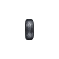 Foto pneumatico: SUNNY, NW211 WINTER-MAX 225/50 R18 99V Invernali