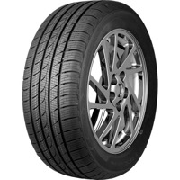 Foto pneumatico: TRACMAX, ICE-PLUS S220 225/70 R16 103H Invernali