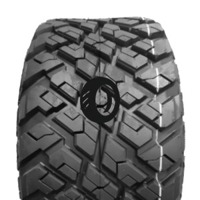 Foto pneumatico: WANDA TYRE, P3118 10/ R14 80B Quattro-stagioni