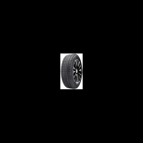 Foto pneumatico: Double Star, WINTERKING DW02 245/55 R19 103T Invernali