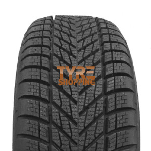 Foto pneumatico: DUNLOP, WINTER 205/55 R17 95V Invernali