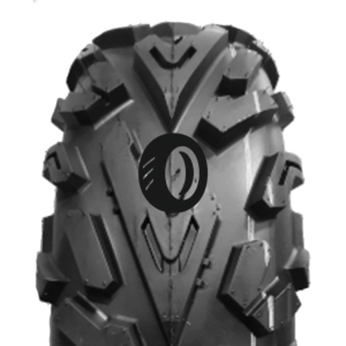 Foto pneumatico: JOURNEY TYRE, P3055 8/ R12 55F Quattro-stagioni