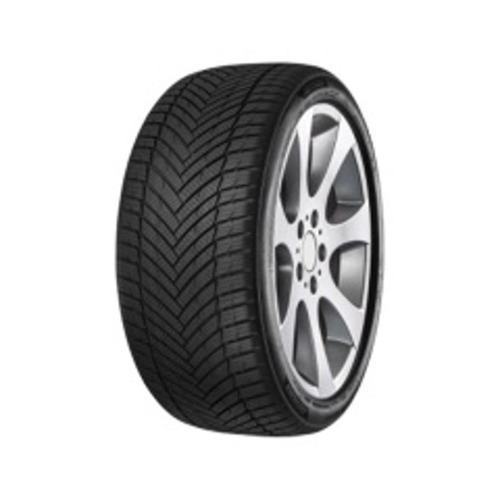 Foto pneumatico: MINERVA, AllSeason Master 195/65 R15 91H Quattro-stagioni