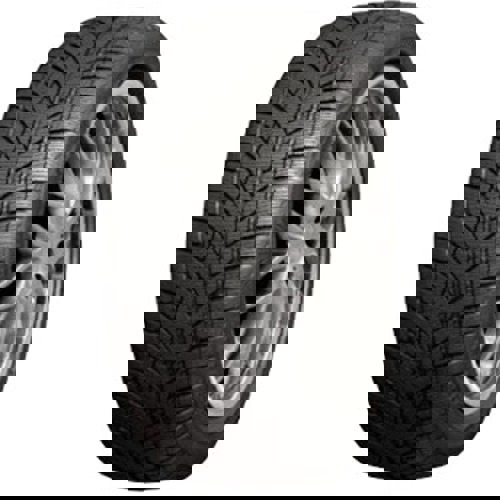 Foto pneumatico: ROADX, RX FROST WU01 195/65 R15 95T Invernali