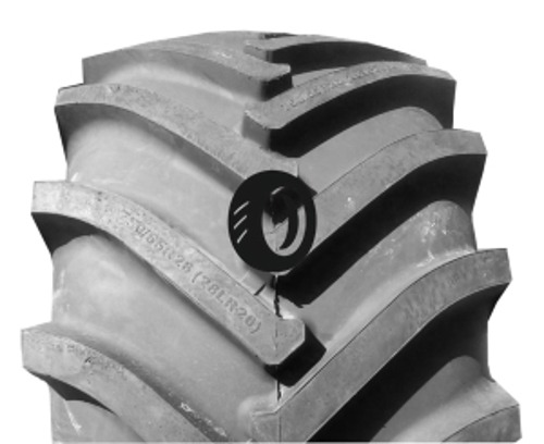 Foto pneumatico: ROSAVA, CM-102 750/65 R26 166A8 Quattro-stagioni