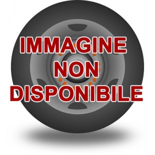 Foto pneumatico: BF Goodrich, ADVANTAGE ALL-SEASON 205/40 R17 84W Quattro-stagioni